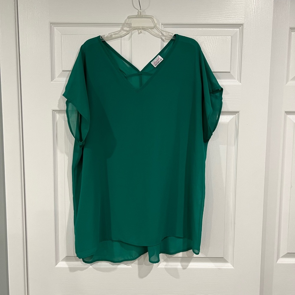 SWAK V-Neck Sheer Top